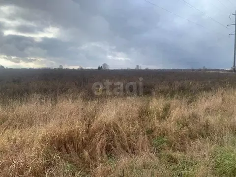 Участок в Костромская область, Костромской район, Шунгенское с/пос, д. ...