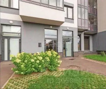 Студия Ленинградская область, Кудрово г. Всеволожский район, Заневское ...