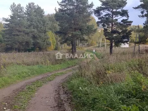 Участок в Владимирская область, Суздальский район, Новоалександровское ...