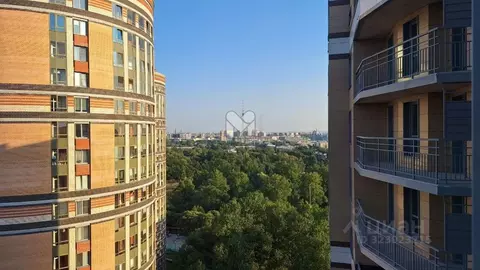 3-к кв. Санкт-Петербург Коломяжский просп., 11 (96.0 м)