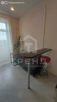 Квартира-студия: Санкт-Петербург, Московский проспект, 186 (19 м)