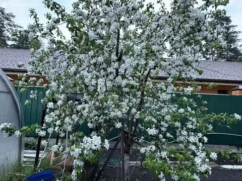 Дом в Зубарева, Центральная улица (186 м)