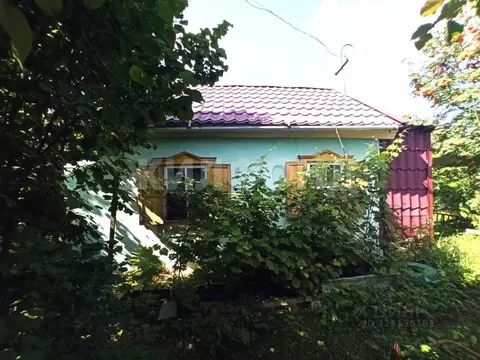 Дом в Алтайский край, Барнаул Дружба СНТ, 33/56 (25 м)