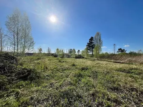 Участок в Тюменская область, Тюмень Ясень садовое товарищество, ул. ...
