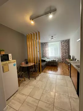 Студия Самарская область, Самара Красноармейская ул., 121 (28.0 м)