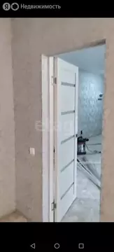 1-комнатная квартира: Новая Отрадовка, Придорожная улица, 150 (42 м)