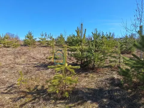 Участок в Ленинградская область, Приозерский район, Сосновское с/пос, ...