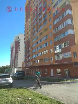 Помещение свободного назначения в Самарская область, Самара ...