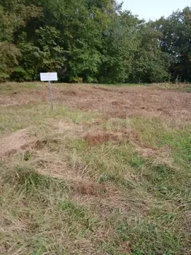 Участок в Амурская область, Благовещенск Весна СТ,  (8.0 сот.)