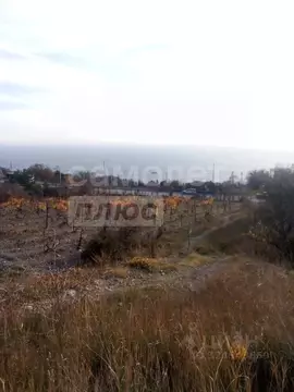 Студия Крым, Ялта муниципальный округ, Парковое пгт ул. Центральная, 1 ...