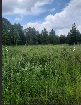 Участок в Ленинградская область, Кингисеппский район, Куземкинское ...