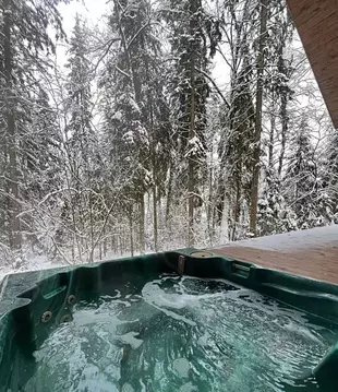 Дом в Московская область, Дмитровский муниципальный округ, д. Шадрино, ...