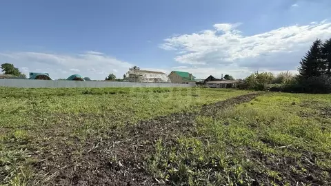 Участок в Татарстан, Лаишевский район, Чирповское с/пос, с. Именьково  ...