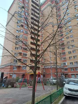 1-к кв. Московская область, Пушкино Новая Деревня мкр, Набережная ул., ...