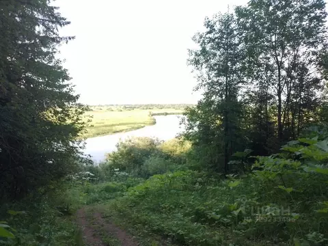 Участок в Пермский край, Березовский район, д. Федотово 10 (49.3 сот.)