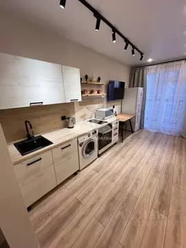 Студия Новосибирская область, Новосибирск Игарская ул., 33 (26.4 м)