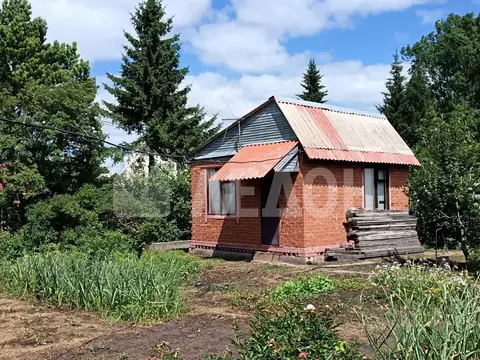 Дом в Омская область, Омск СОСН Строитель-88/1 тер., аллея 11-я (30 м)