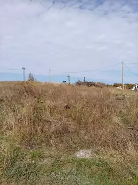 Участок в Ставропольский край, Шпаковский муниципальный округ, с. ...