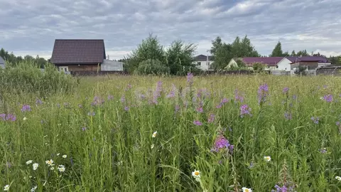 Участок в Московская область, Дмитровский муниципальный округ, ...