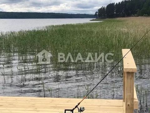 Участок в Ленинградская область, Приозерский район, Громовское с/пос, ...