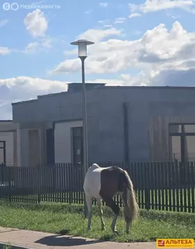 Дом в Холмогоровка, Южная улица, 40 (129.3 м)