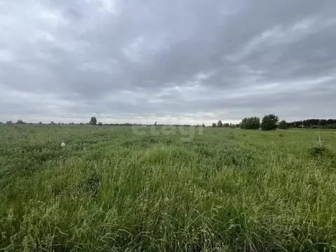 Участок в Брянская область, Брянский район, Мичуринское с/пос 9 (45.0 ...