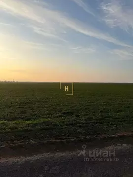 Участок в Крым, Сакский район, с. Уютное  (260.0 сот.)