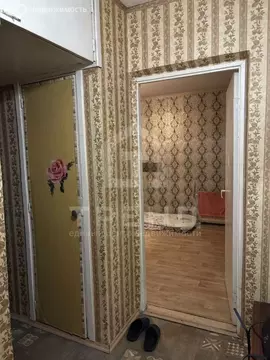 1-комнатная квартира: Санкт-Петербург, проспект Художников, 29к2 (33 ...