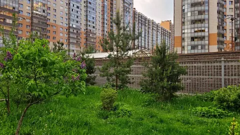 2-к кв. Санкт-Петербург просп. Королева, 63к1 (72.0 м)