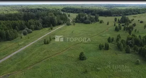 Помещение свободного назначения в Новосибирская область, Мошковский ...