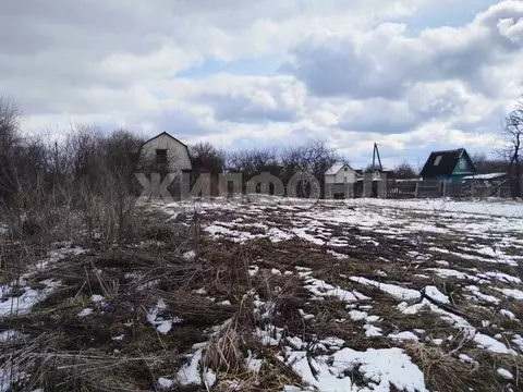 Участок в Брянская область, Брянский район, Снежское с/пос, с. ...