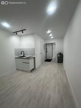 Квартира-студия: Пермь, Краснофлотская улица, 32 (18 м)