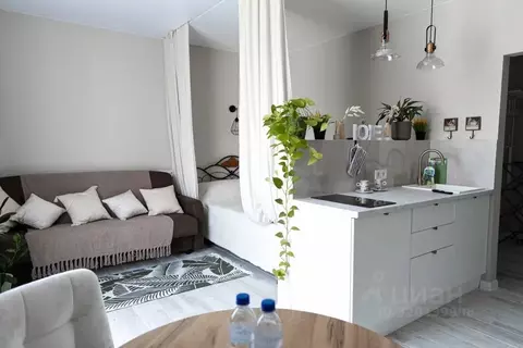 Студия Калининградская область, Зеленоградский муниципальный округ, ...