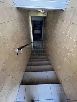 Помещение свободного назначения в Белгородская область, Белгород ул. ...