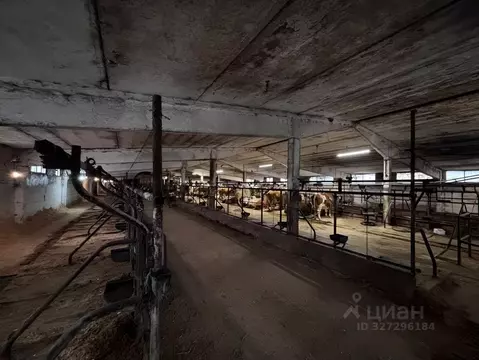 Помещение свободного назначения в Московская область, Наро-Фоминский ...