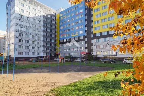 Студия Вологодская область, Вологда Молодежная ул., 20 (21.6 м)