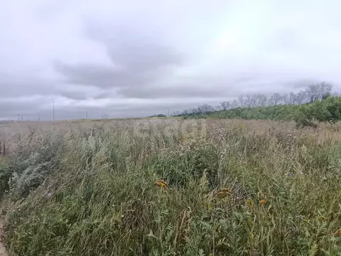 Участок в Тульская область, Воловский район, Турдейское с/пос, д. ...