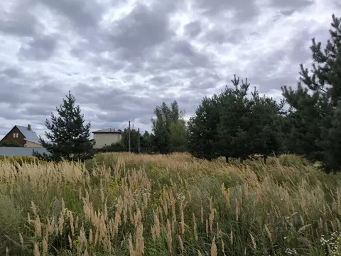 Участок в Московская область, Раменский муниципальный округ, д. ...