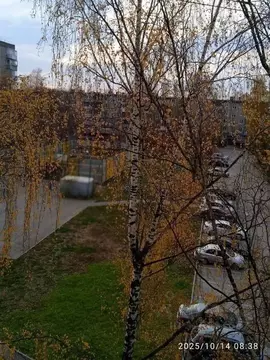 4-к кв. Пермский край, Пермь Чердынская ул., 29 (60.0 м)