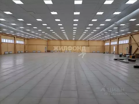 Торговая площадь в Новосибирская область, Бердск Первомайская ул., 12 ...