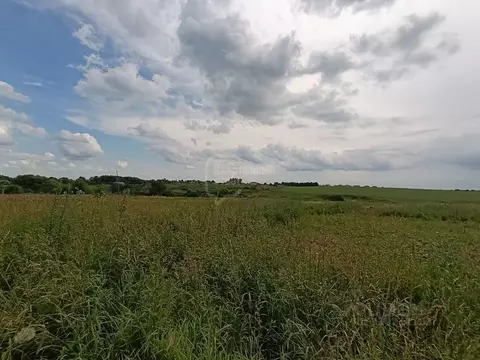Участок в Владимирская область, Суздальский район, Павловское ...