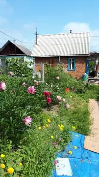 Участок в Хабаровский край, Комсомольск-на-Амуре Хумми СНТ, ул. ...