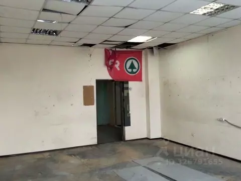 Офис в Санкт-Петербург Звенигородская ул., 9-11К (45 м)