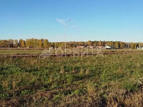 Участок в Тюменская область, Тюменский муниципальный округ, Онегин кп  ...