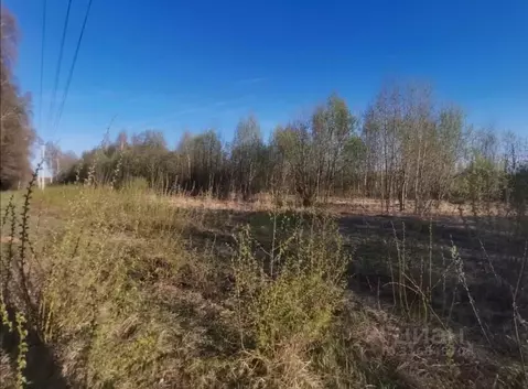 Участок в Владимирская область, Суздальский район, с. Новоалександрово ...