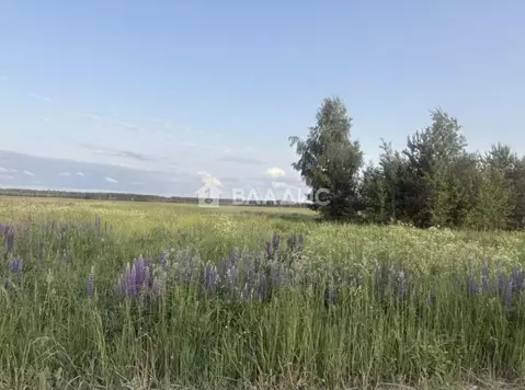 Участок в Владимирская область, Ковровский район, Ивановское с/пос, с. ...