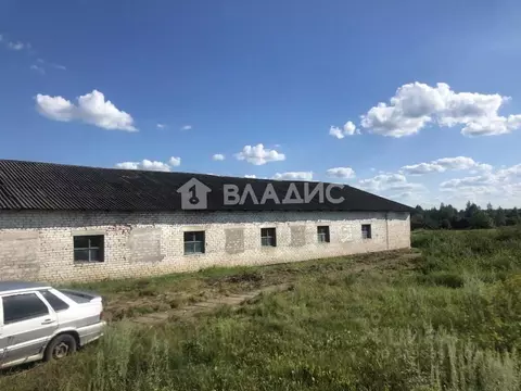 Производственное помещение в Владимирская область, Вязниковский район, ...