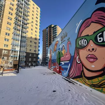 1-комнатная квартира: Иркутск, улица Якоби, 8 (41 м)