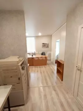 Студия Калининградская область, Калининград ул. Александра Невского, ...