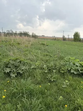 Участок в Московская область, Лотошино муниципальный округ, пос. ...